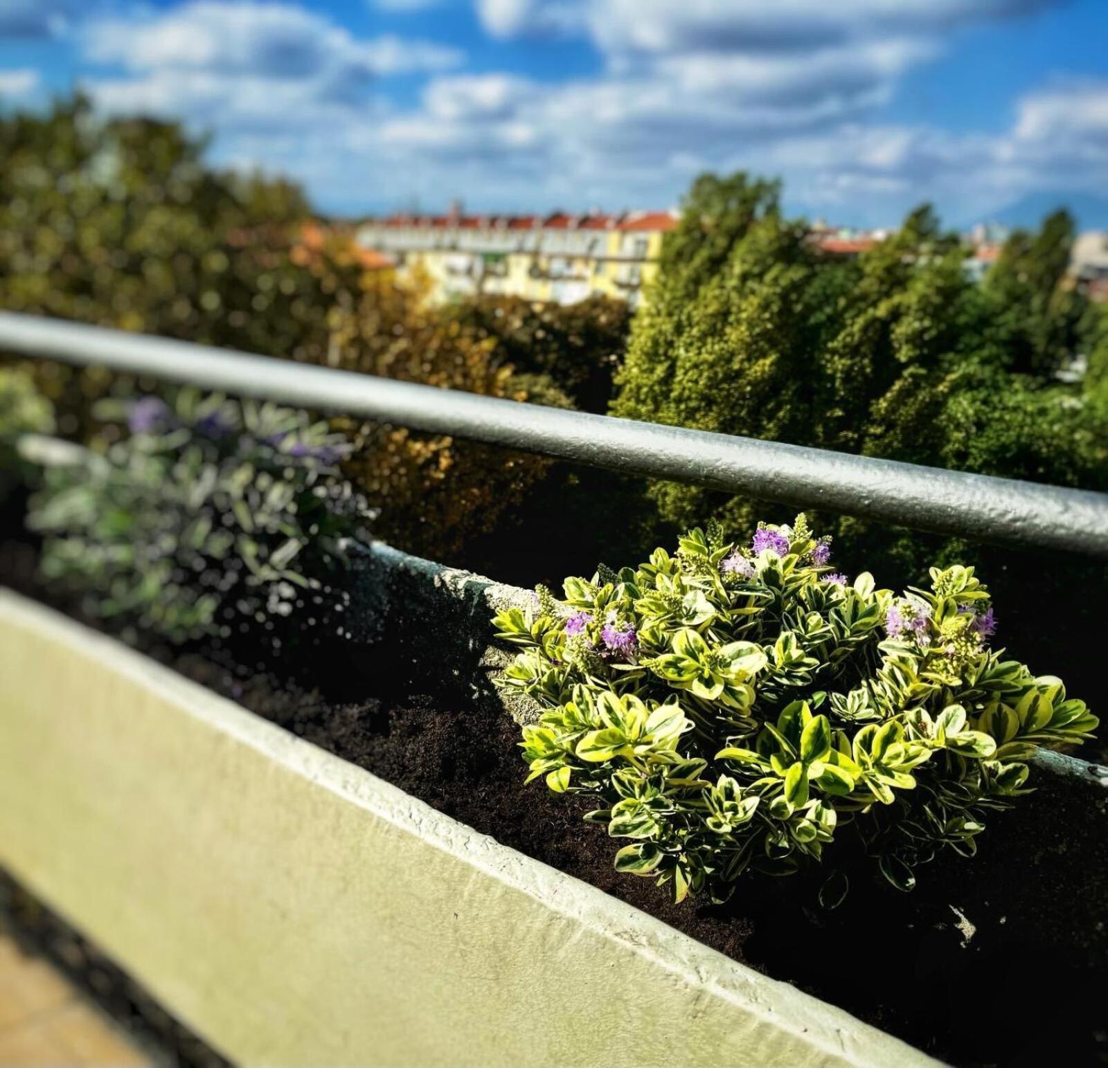 Gianduja - Attico Con Terrazzo Apartman Torino Kültér fotó